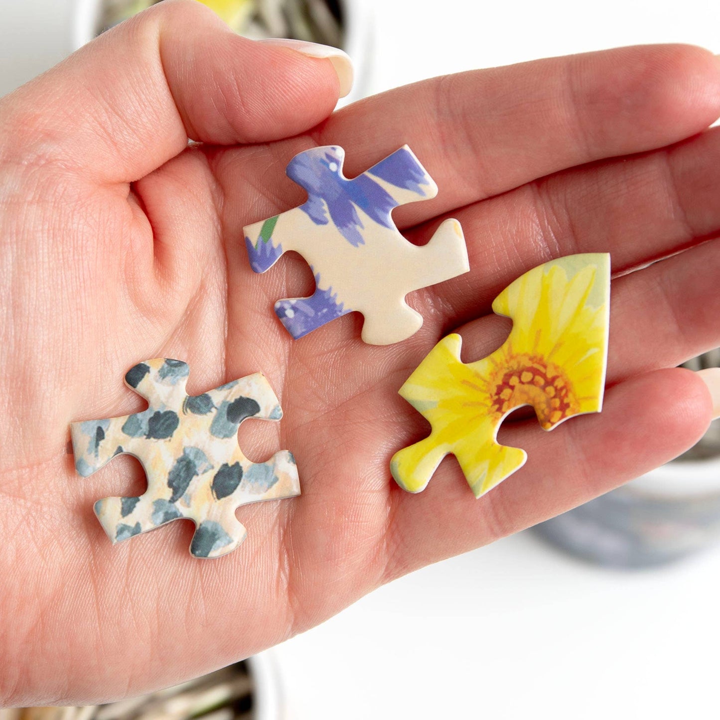 Feathered Friends Mini Puzzle Set