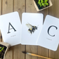 Garden Alphabet Flash Cards