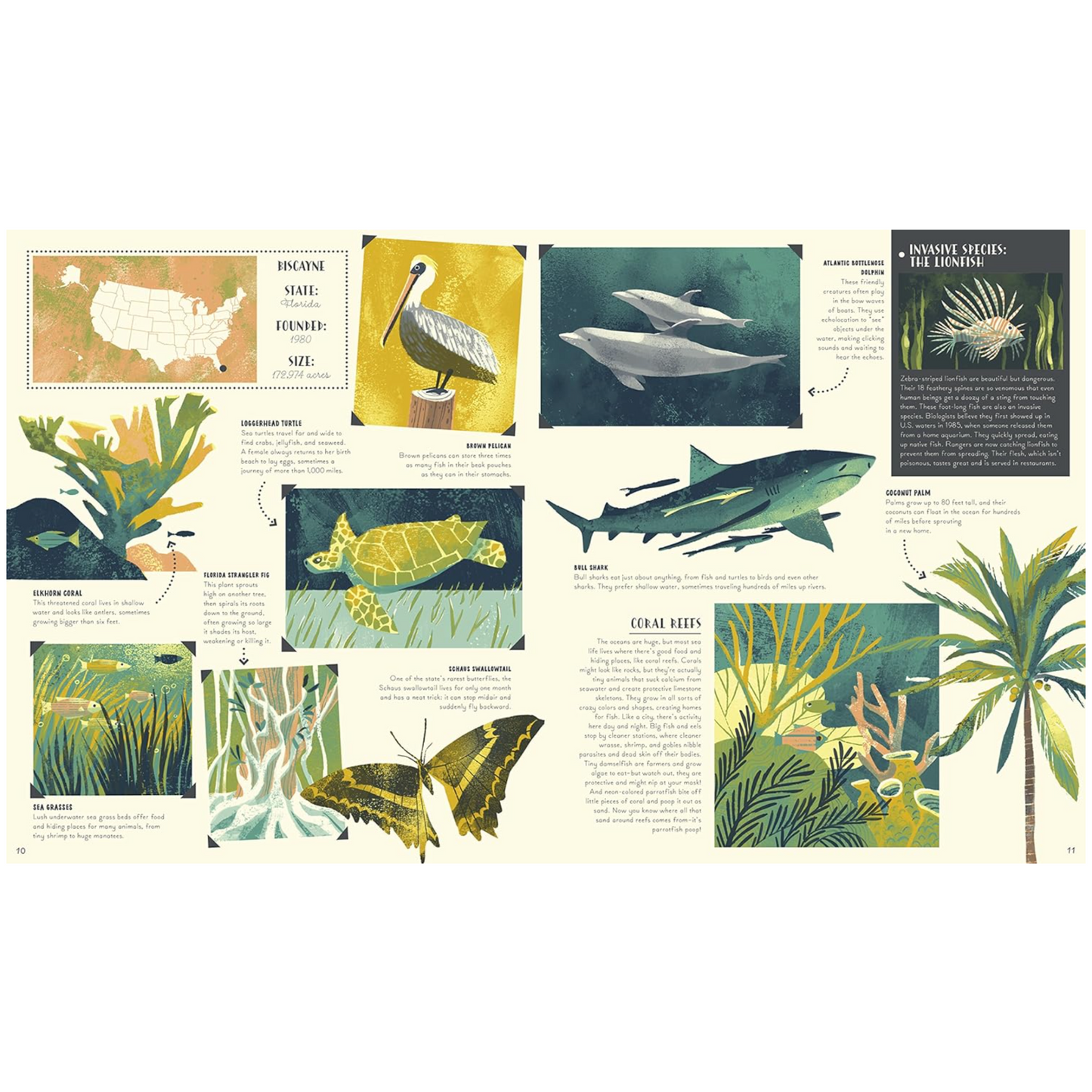 National Parks of the USA Book