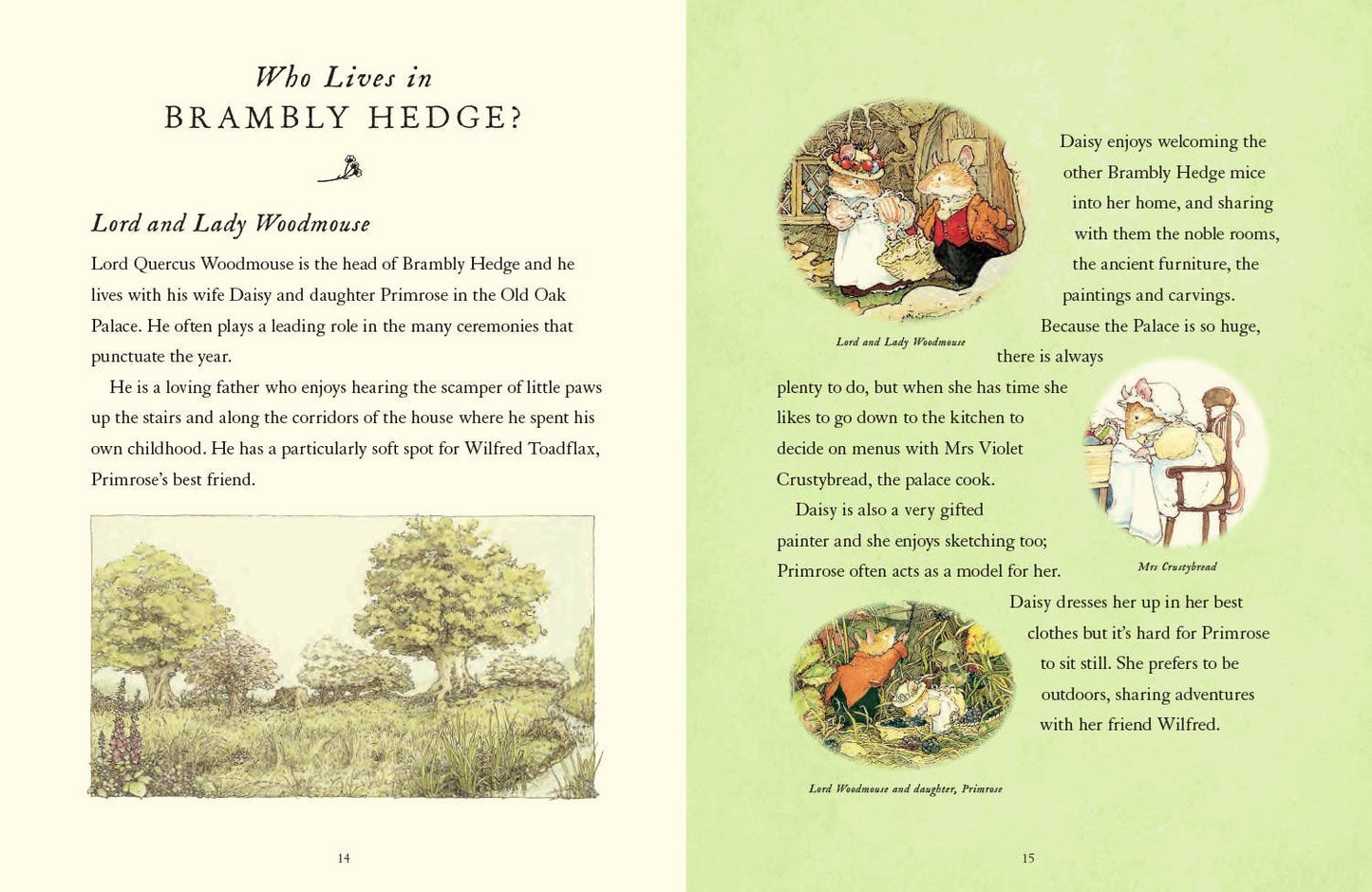 A Visit to Brambly Hedge Book