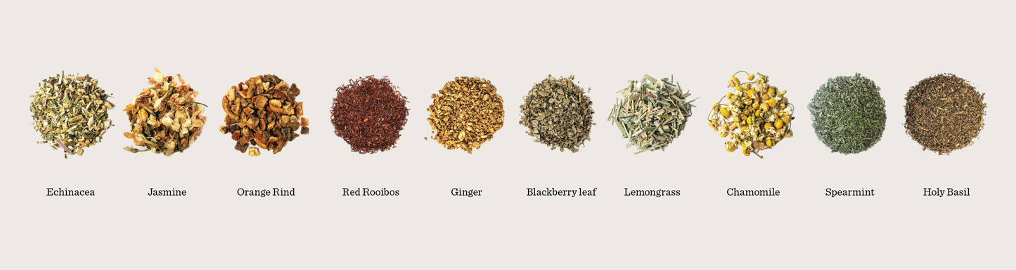 Healing Honeysuckle Loose Leaf Tea