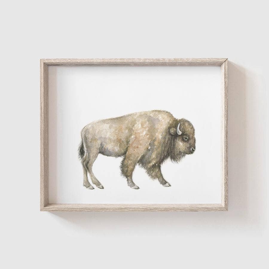 Buffalo Art Print