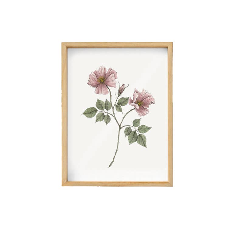 Wild Rose Art Print