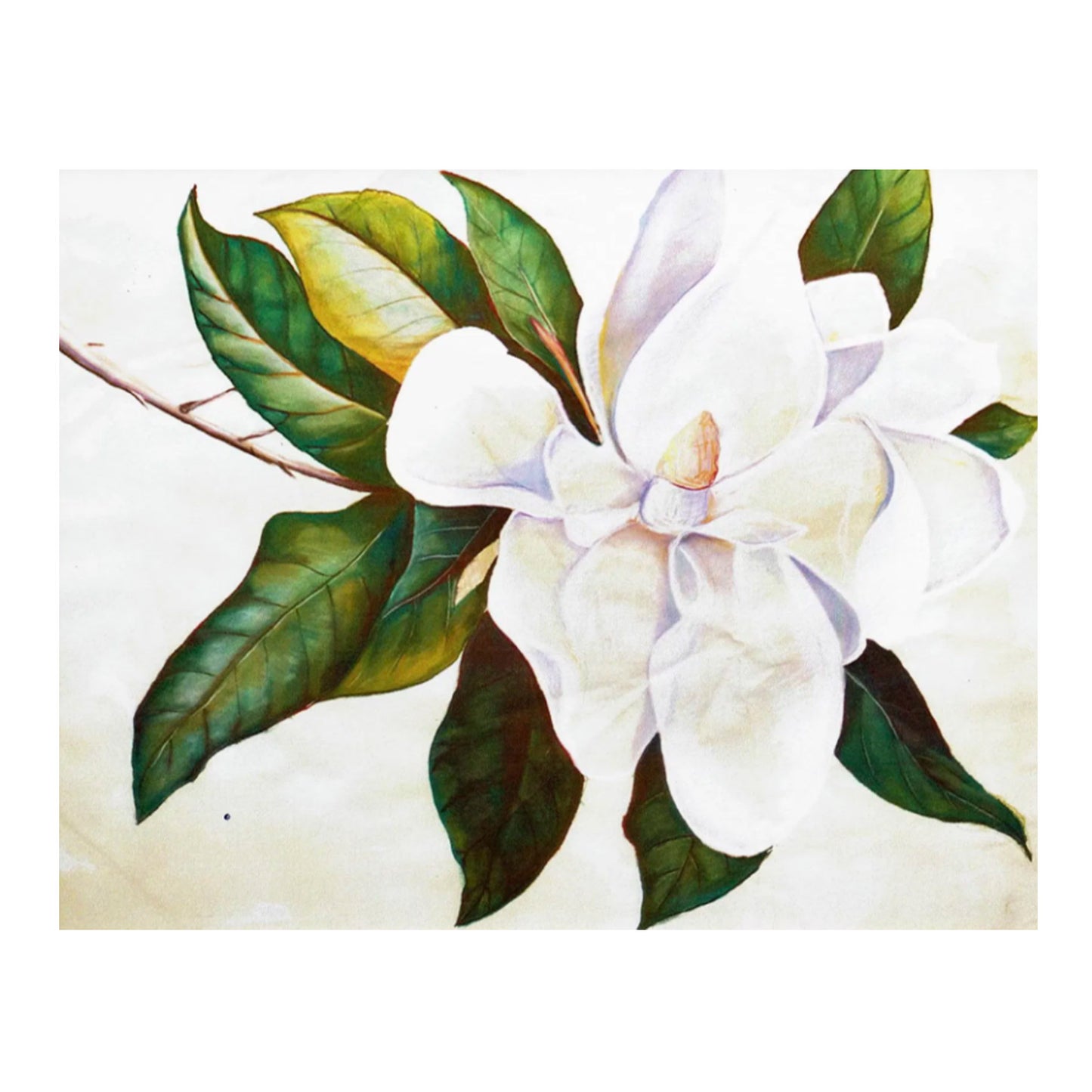 Magnolia Print