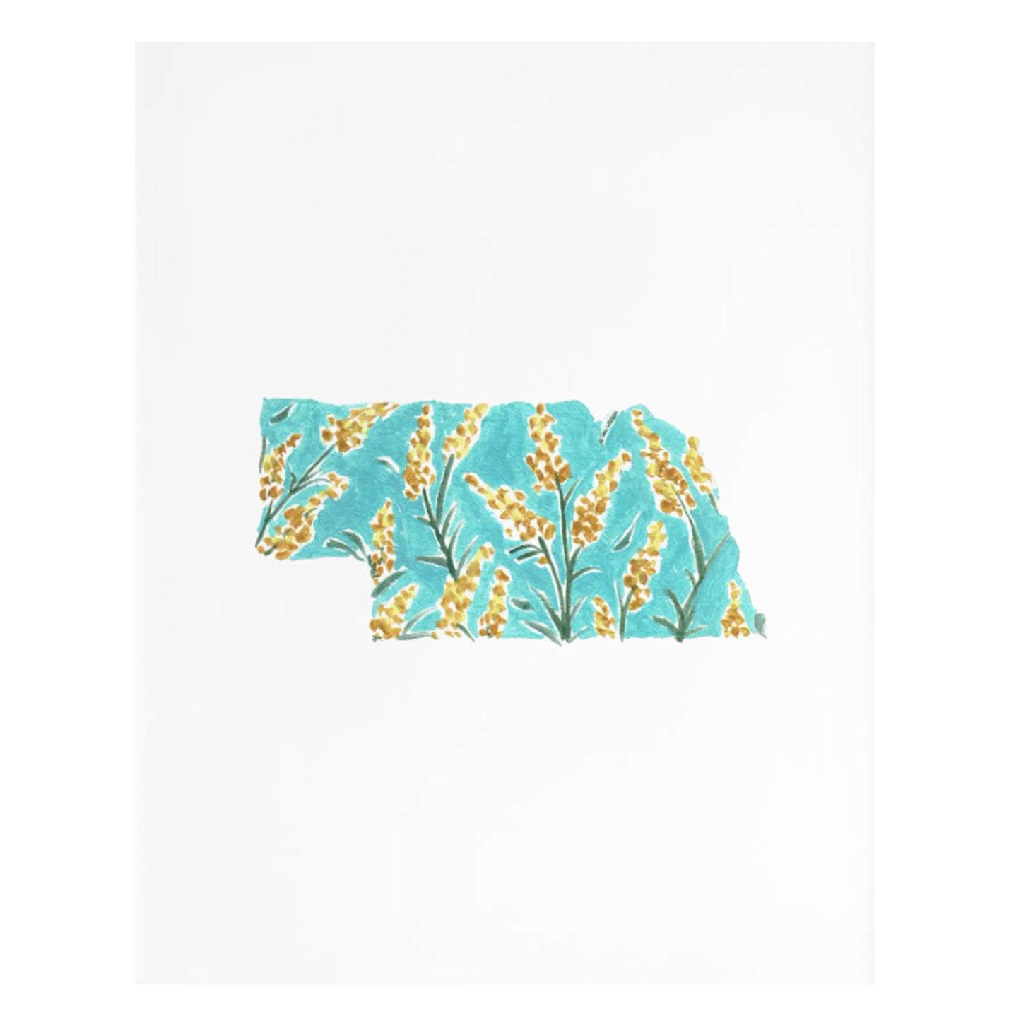 Nebraska State Flower Print