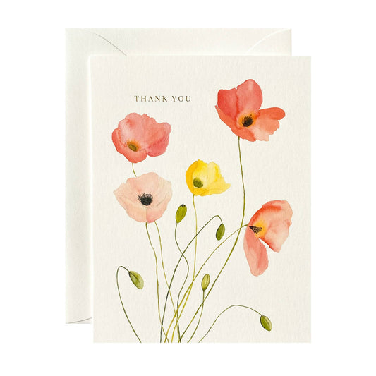 Poppies Thank You Cards | Boxed Set