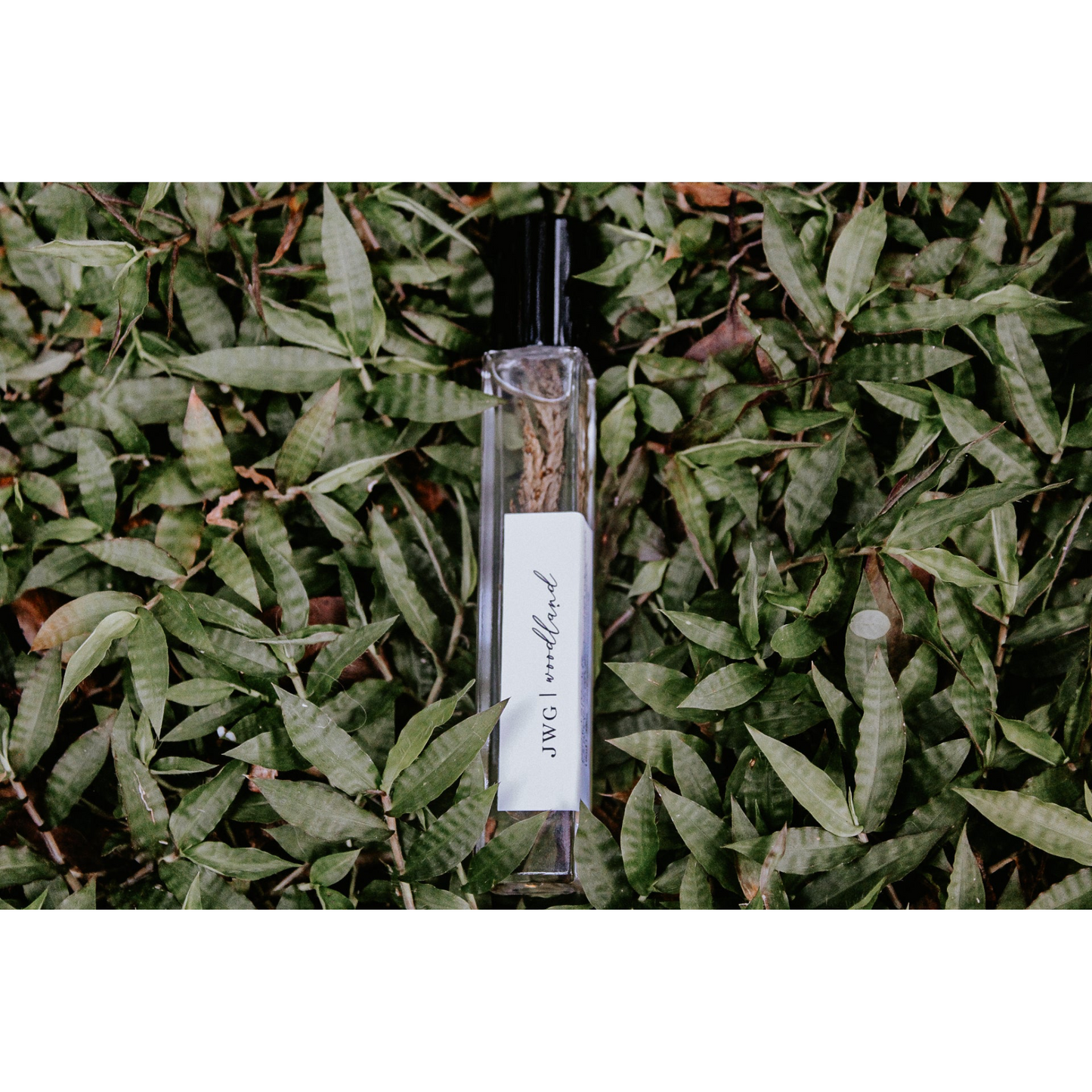 Woodland Perfume Roller