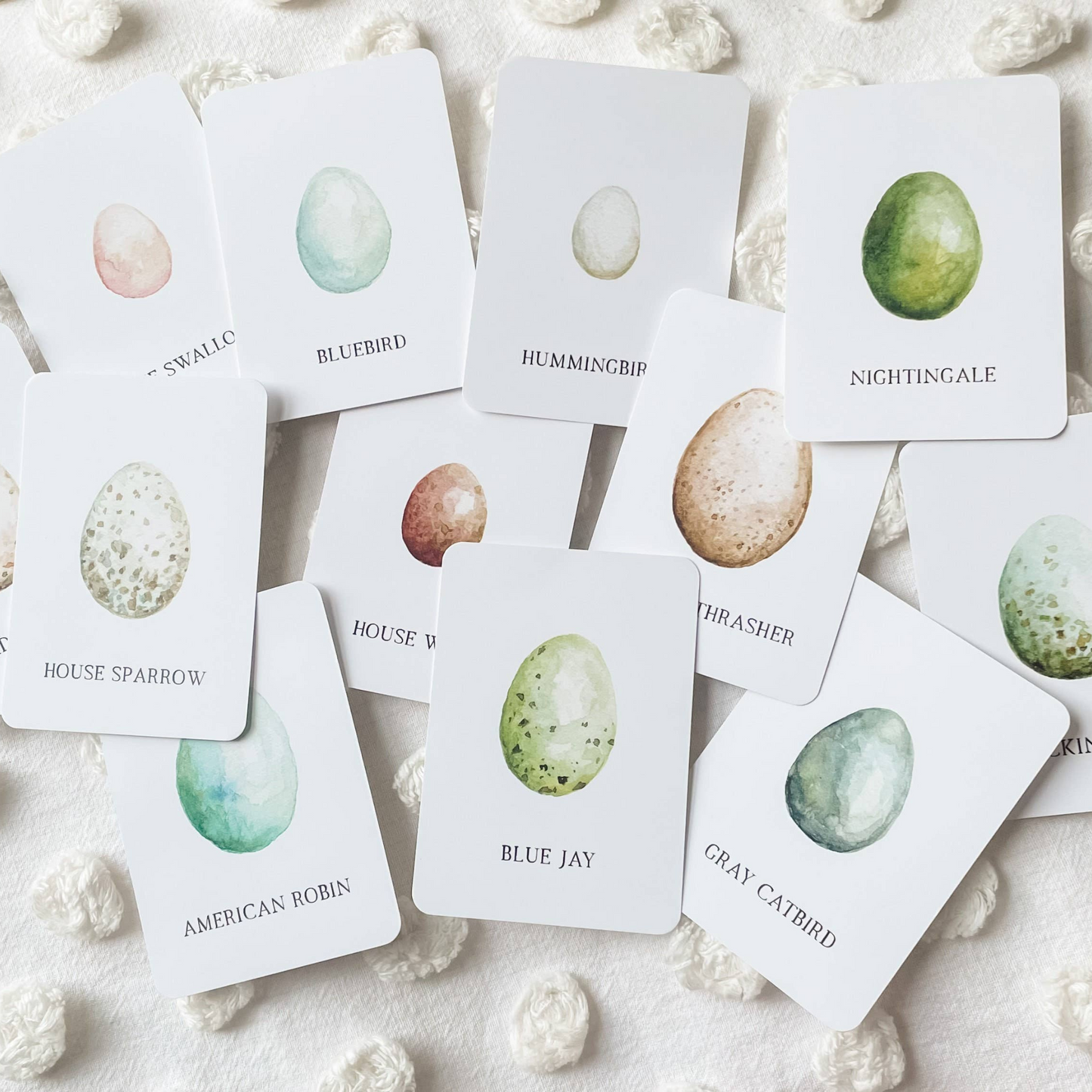 Bird Egg Matching Cards
