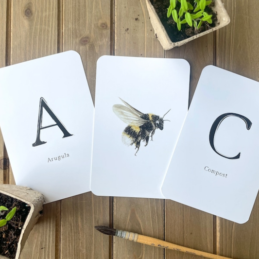 Garden Alphabet Flash Cards
