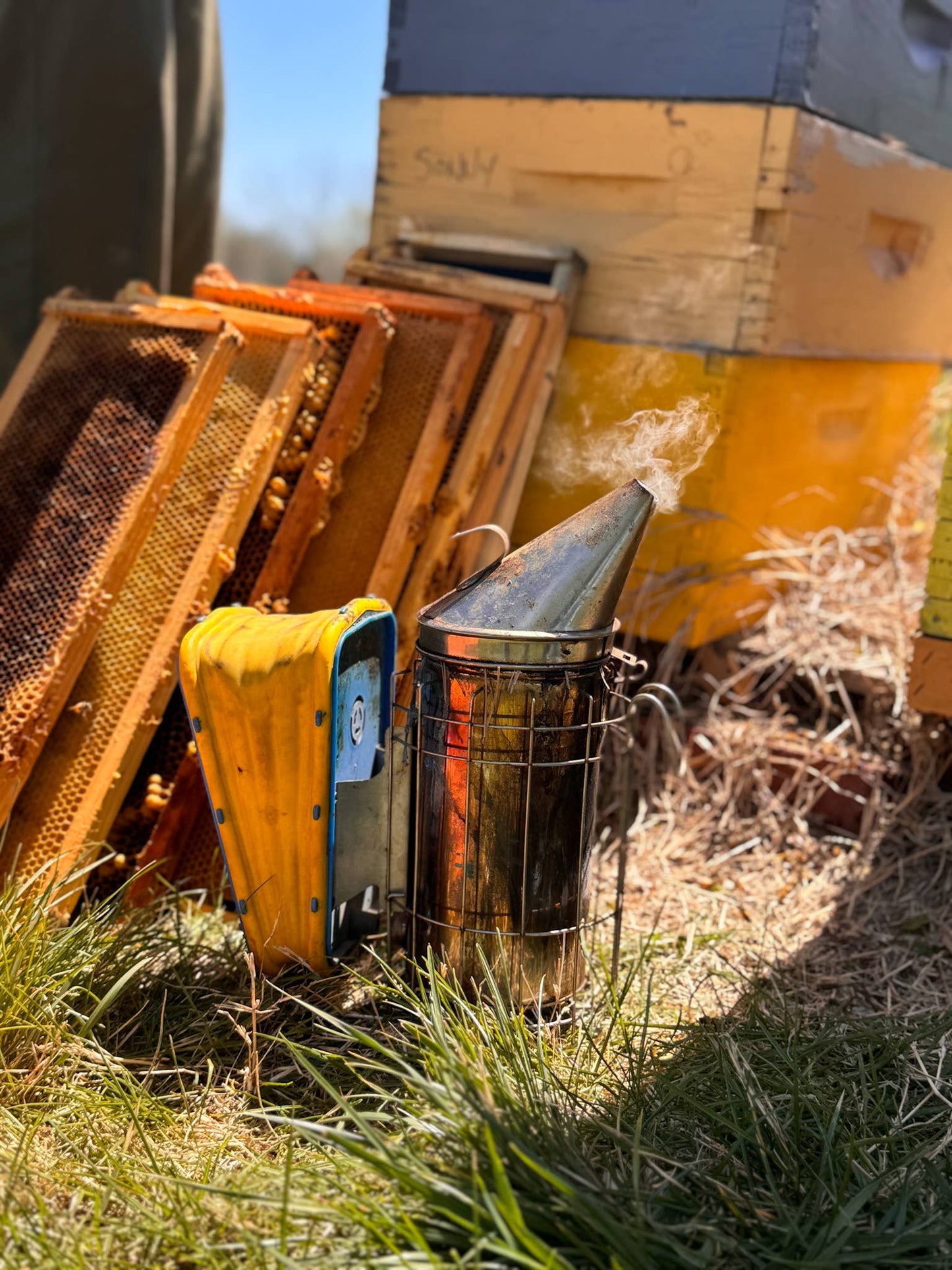 Chocolate Cherry Creamed Honey