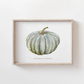Jarrahdale Pumpkin Watercolor Print