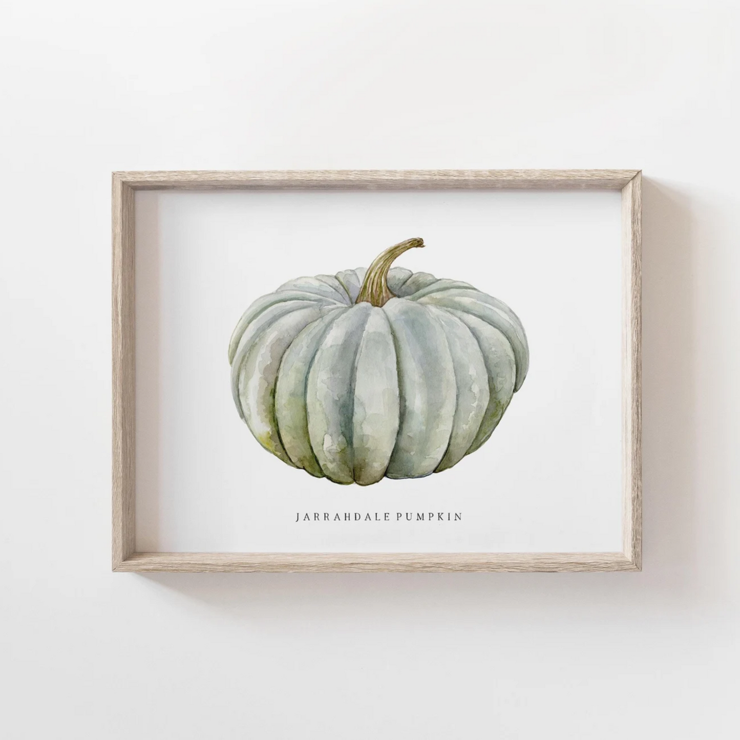 Jarrahdale Pumpkin Watercolor Print