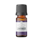 Lavender Essential Oil