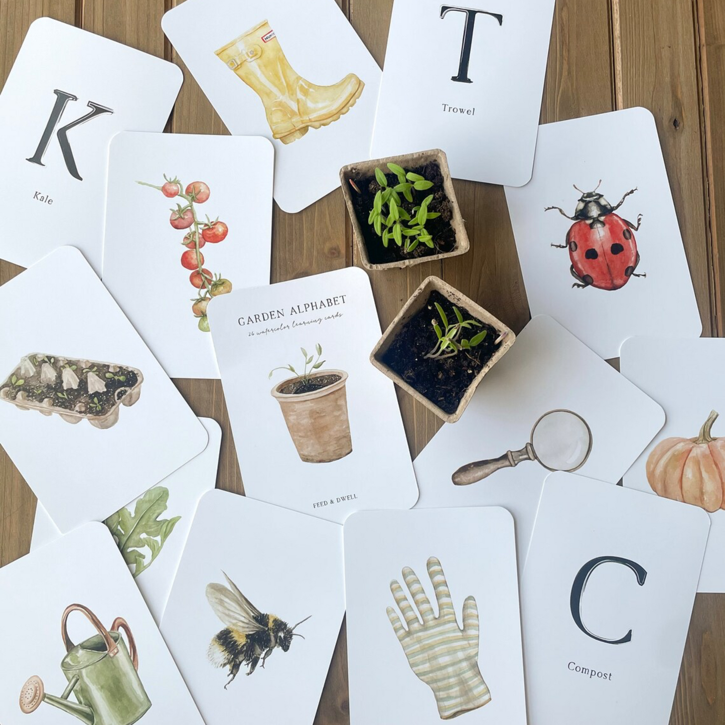 Garden Alphabet Flash Cards