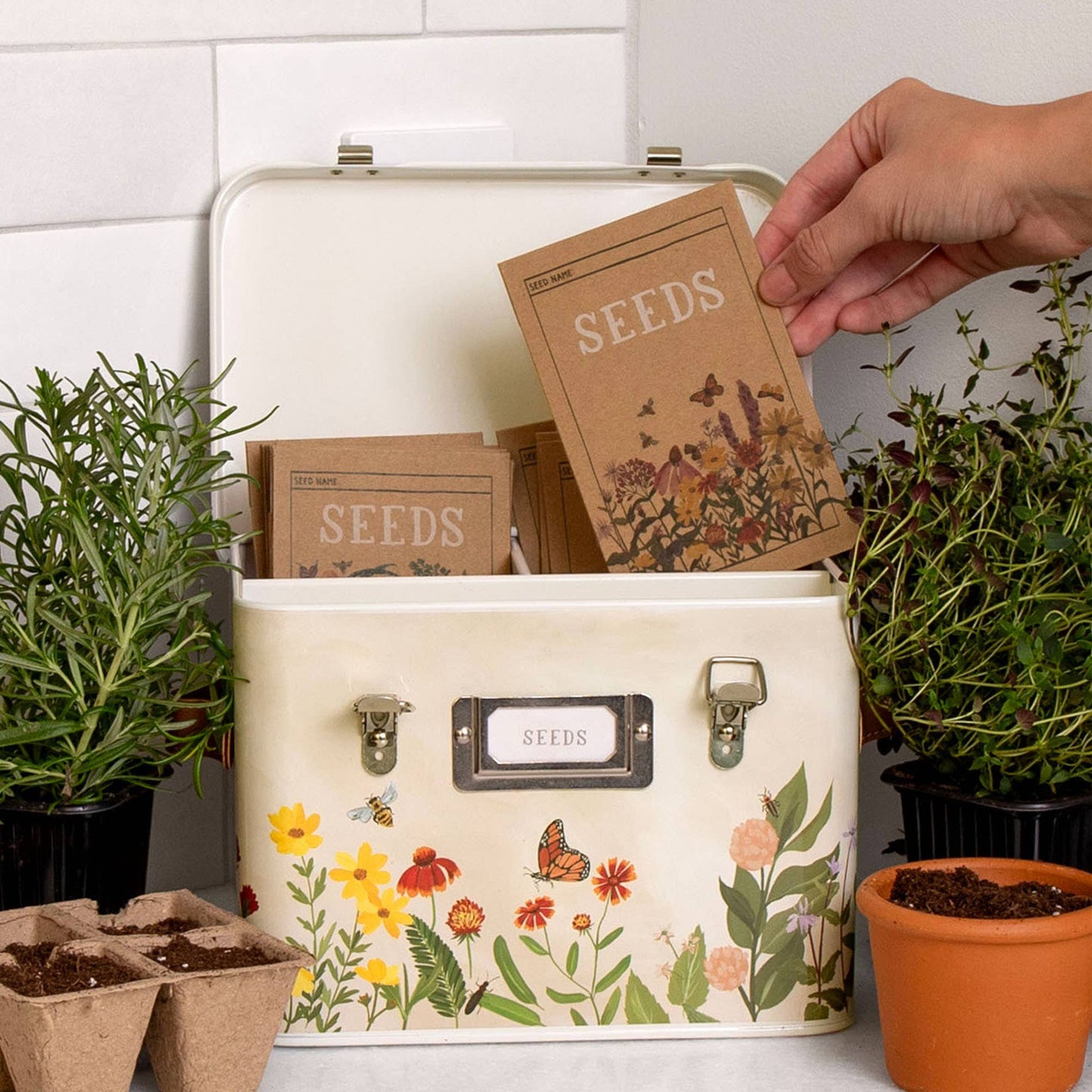 Wildflower Seed Storage Box