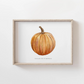 Sugar Pie Pumpkin Watercolor Print