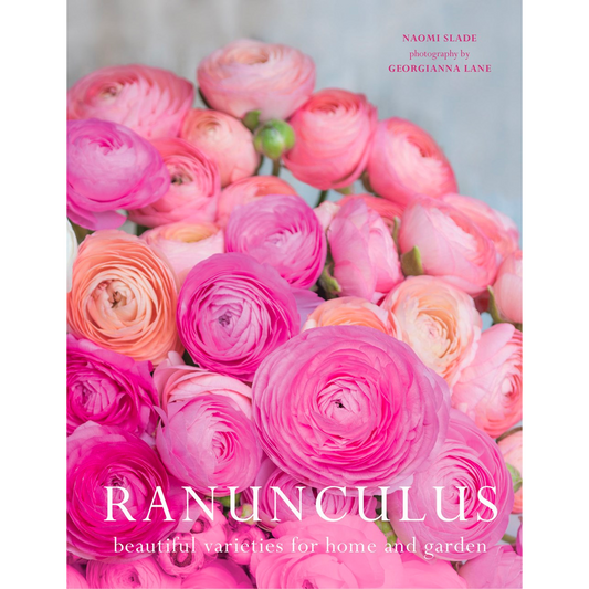 Ranunculus