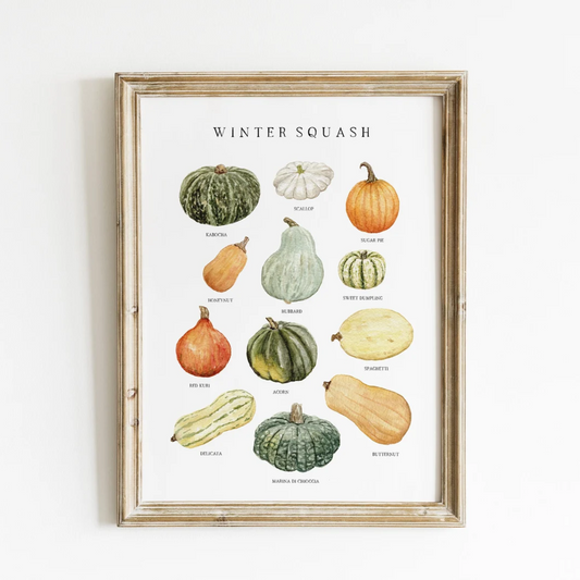 Winter Squashes Watercolor Print