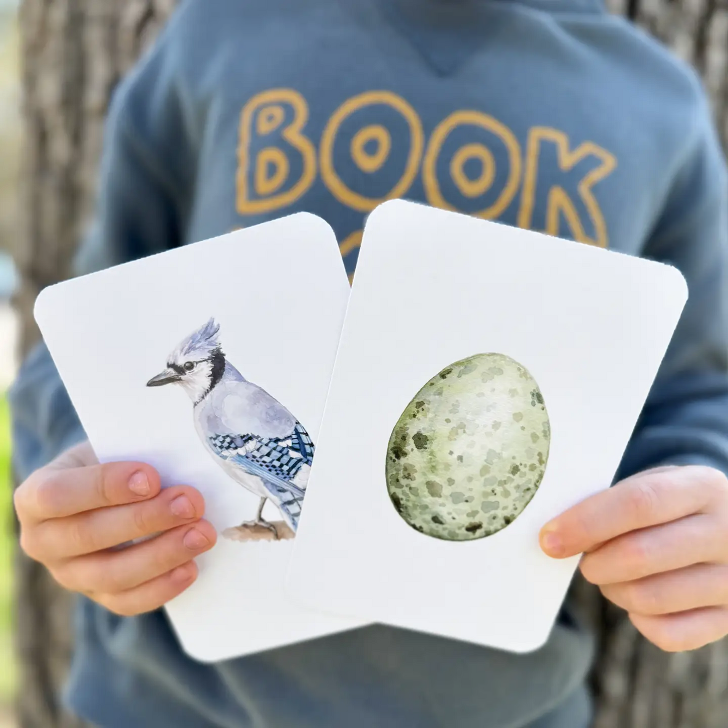 North American Backyard Bird and Egg Learning Cards