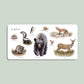 Our Big Book of Animals