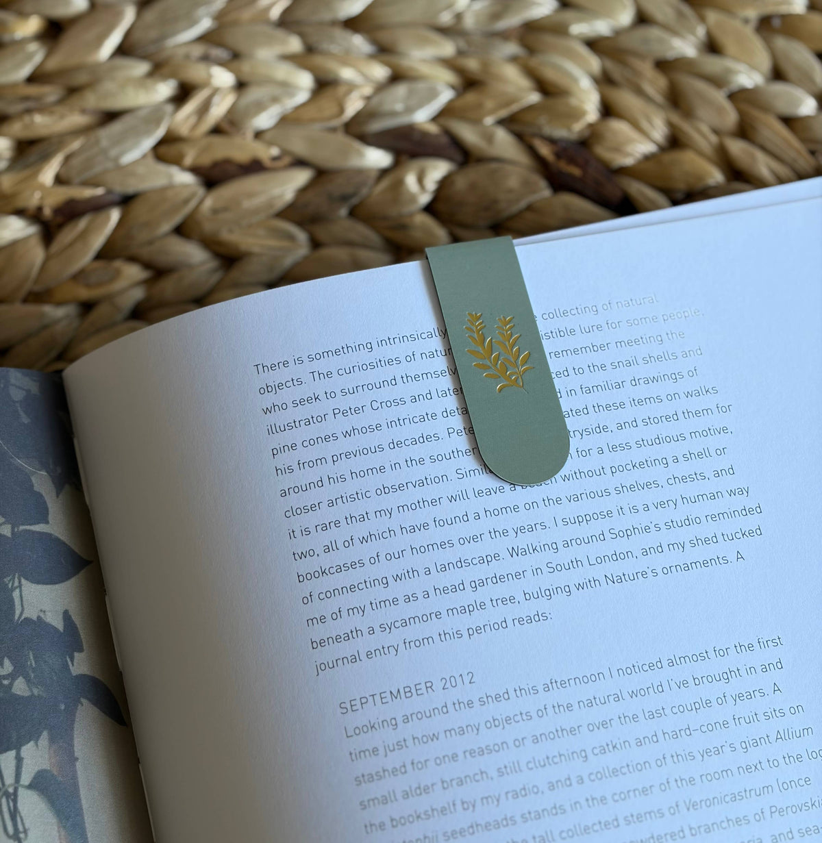 Culinary Herbs Magnetic Bookmark Trio