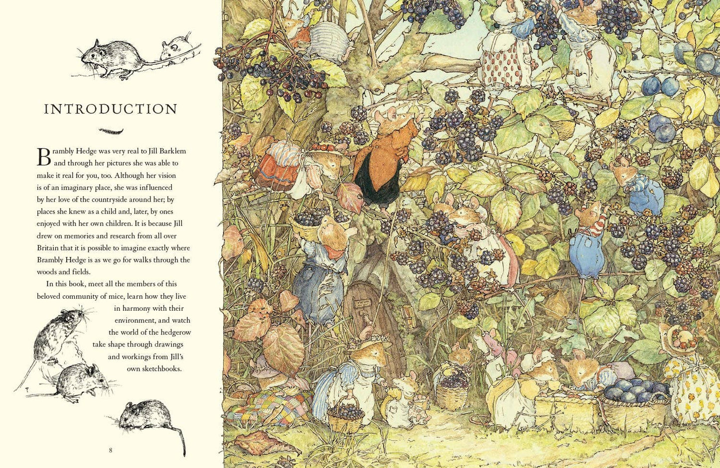 A Visit to Brambly Hedge Book