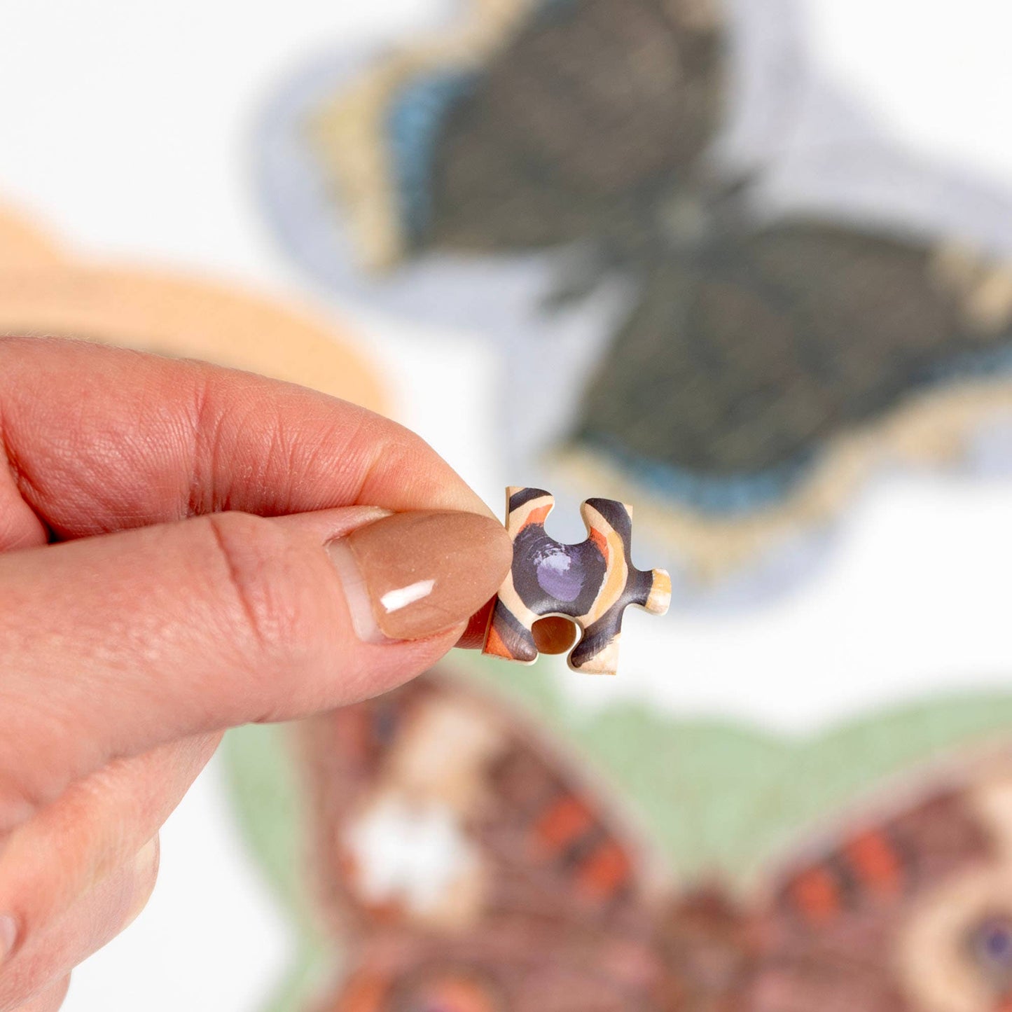 Butterfly Friends Mini Puzzle Set