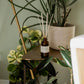 Palm Tree + Pineapple Reed Diffuser