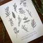 Guide to Garden Herbs Art Print