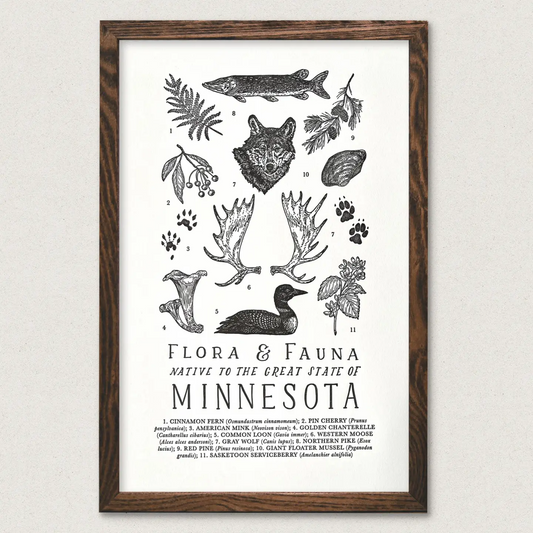 Minnesota Field Guide