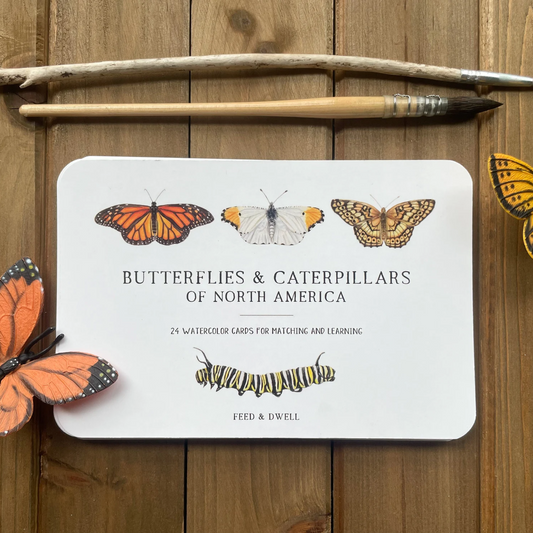 Butterfly and Caterpillar Learning Cards