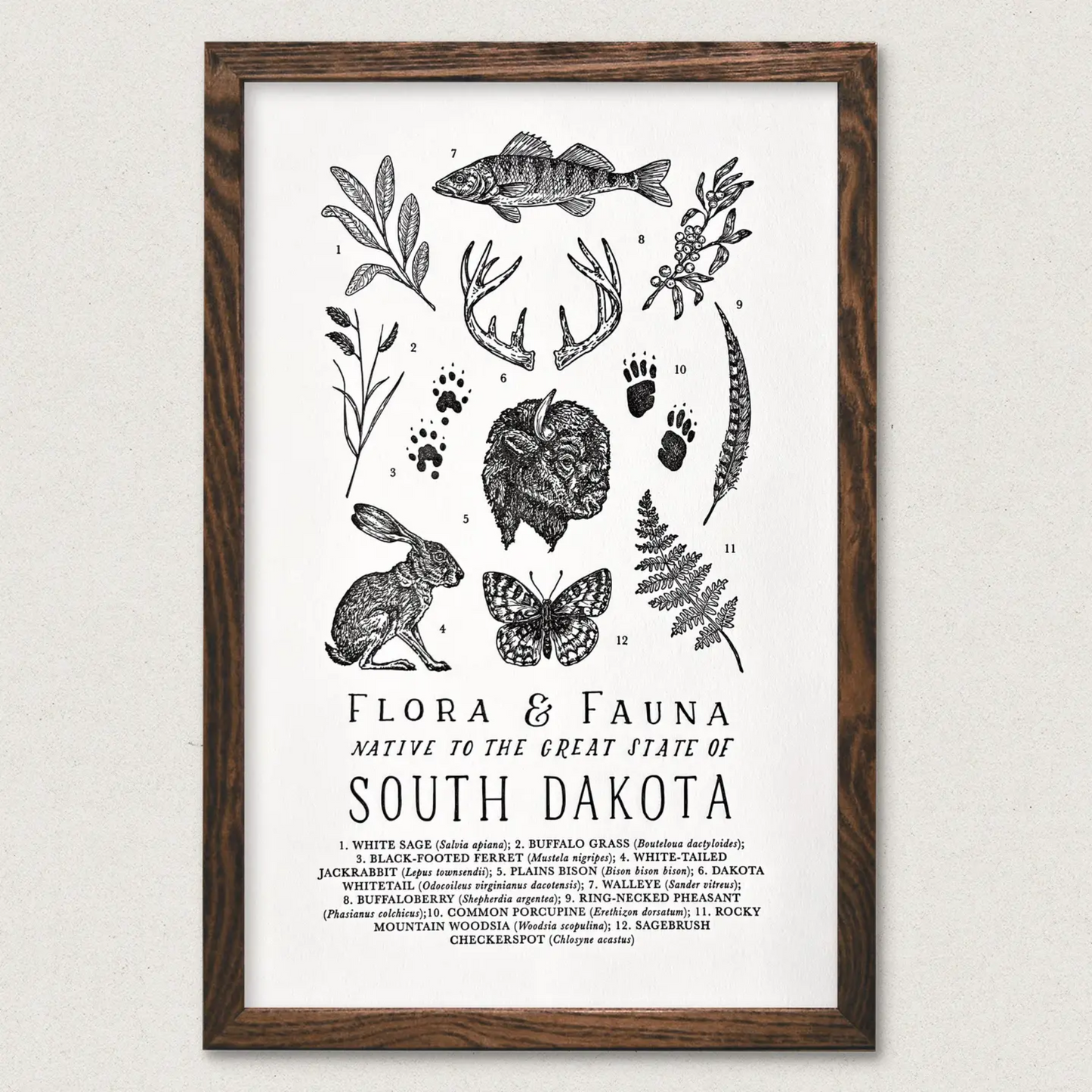 South Dakota Field Guide