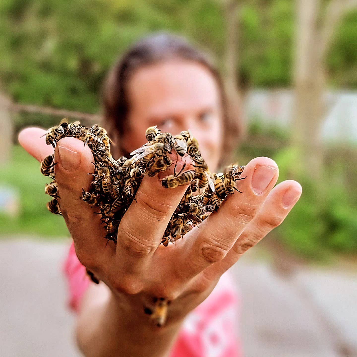 Chocolate Cherry Creamed Honey