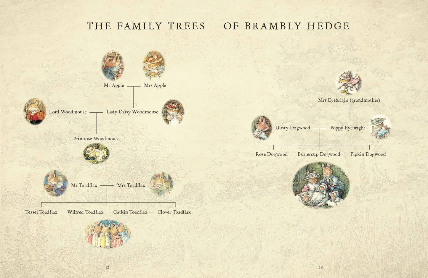 A Visit to Brambly Hedge Book