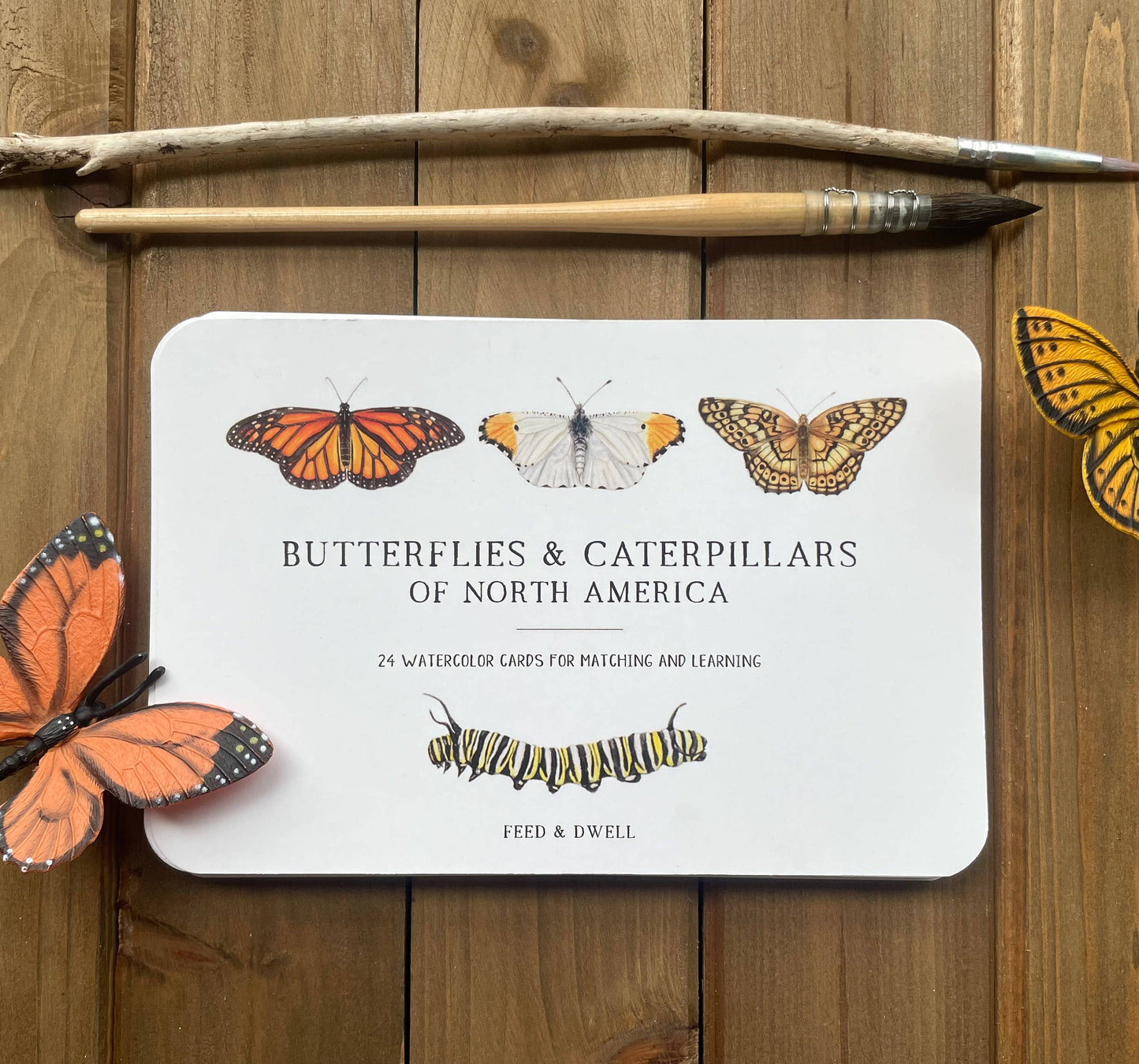 Butterfly and Caterpillar Learning Cards