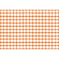 Orange Painted Check Paper Placemat