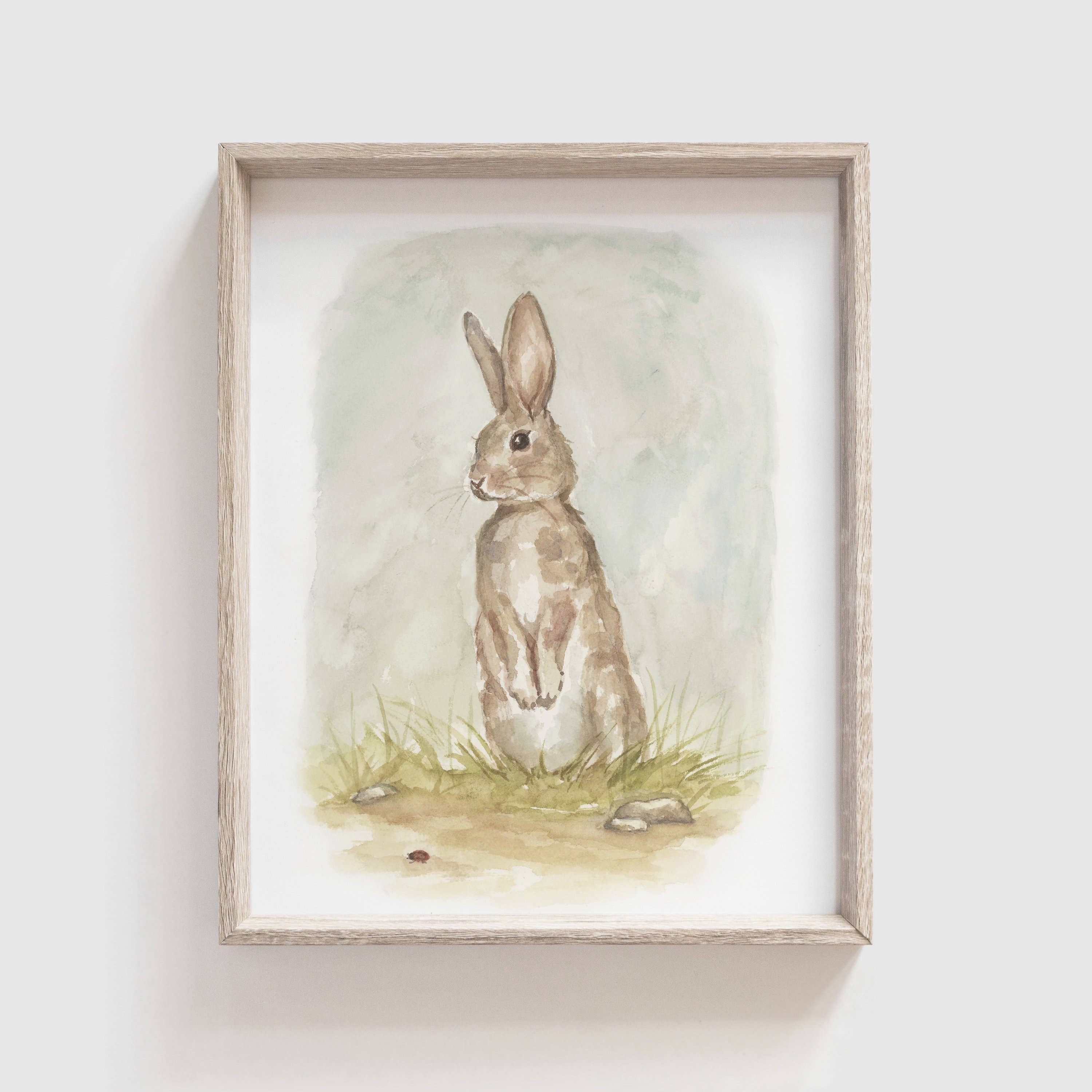 Little Black Rabbit Book