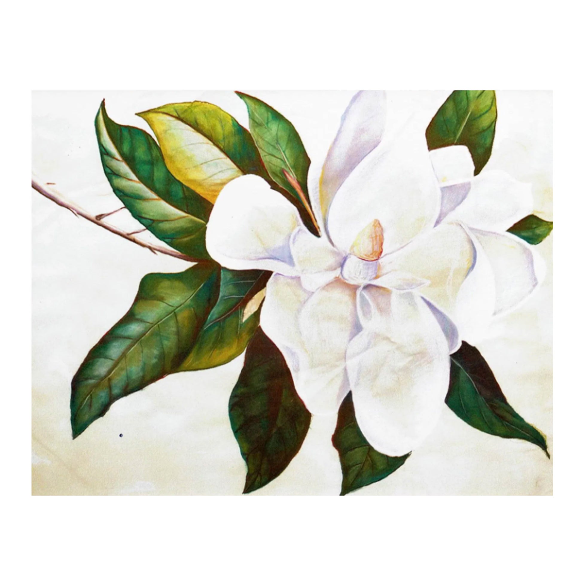 Not Just Another Magnolia Canvas Print