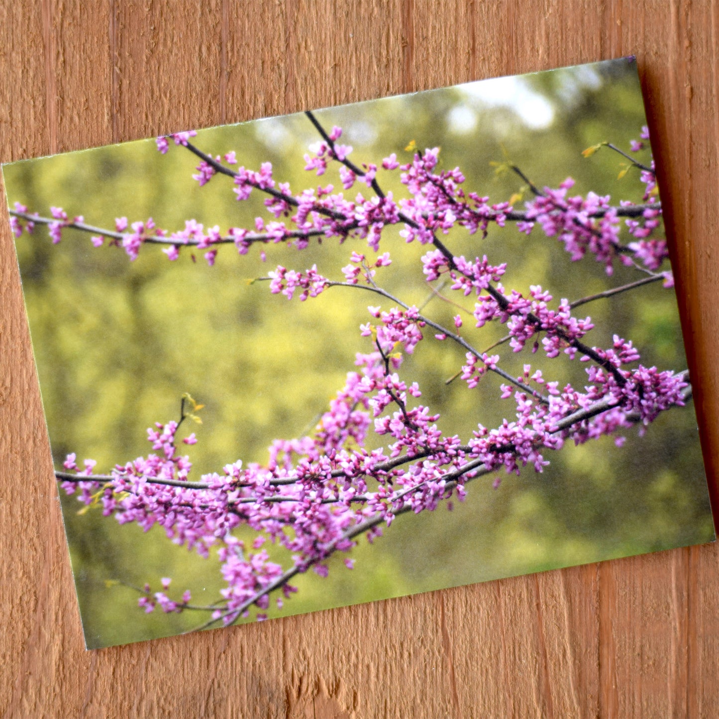 Spring Blooms Notecard Set
