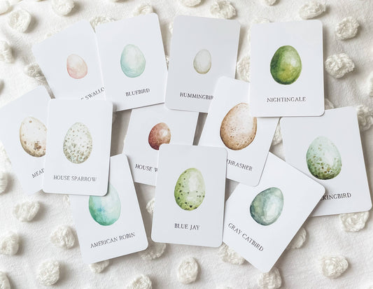 Bird Egg Matching Cards